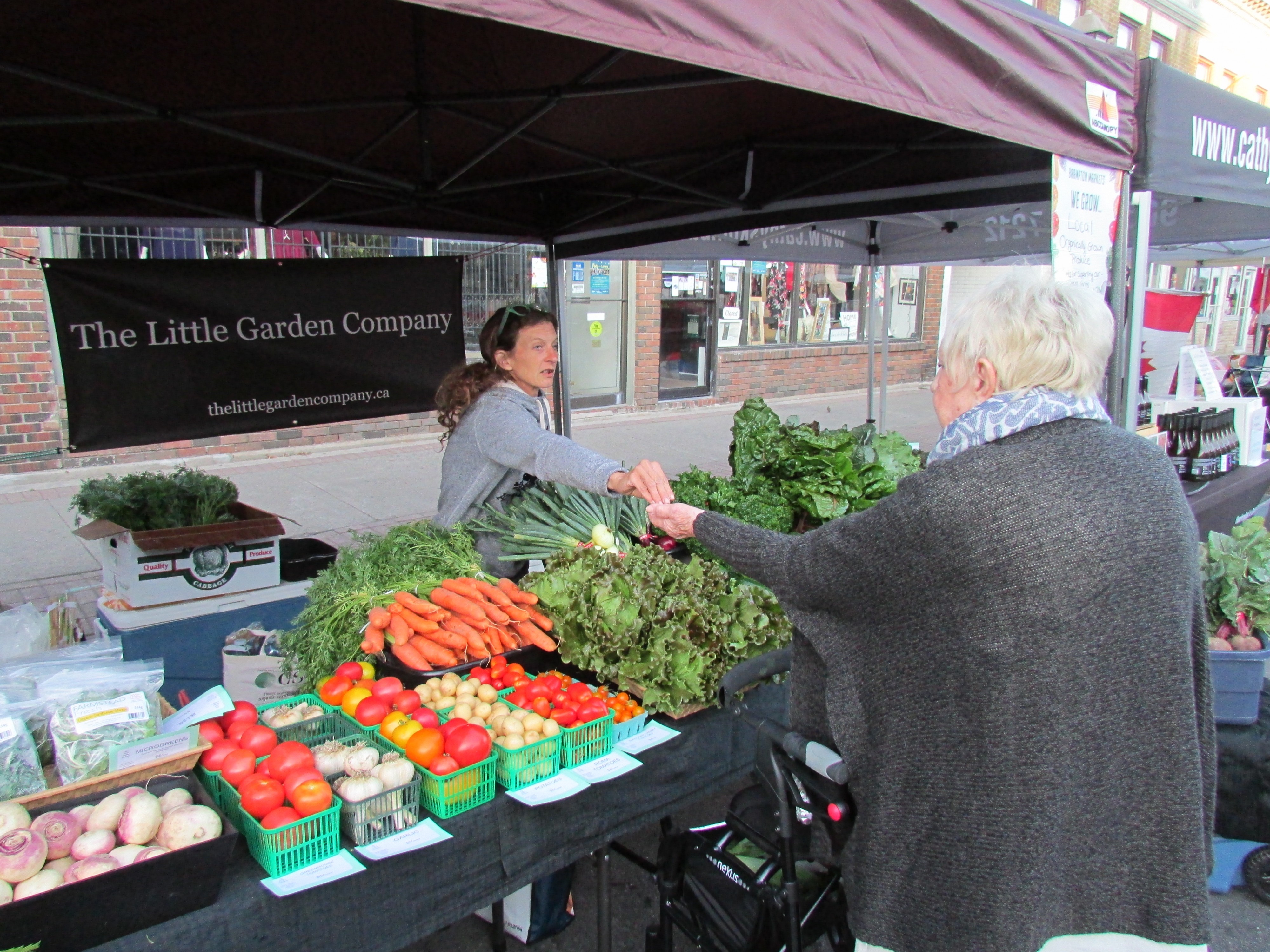 a-brampton-couple-s-love-of-food-might-help-save-our-planet-the-pointer