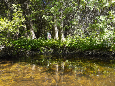 After secretly working to destroy it, Ford government silent on long overdue review of Ontario’s Greenbelt