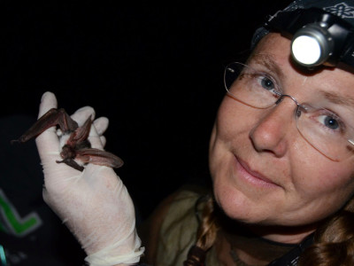 ‘Always left in dark’: Federal funding delays are holding back species conservation