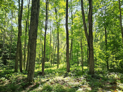 As Canada slides on conservation targets, one Ontario group’s latest acquisition is moving the needle