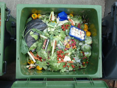 As landfills overflow and a growing population goes hungry, food waste comes into focus