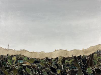 Caledon residents furious after FOI documents uncover gaps in Town record-keeping around opposition to mega-blasting quarry proposal