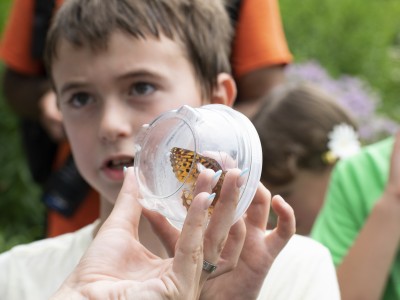Can outdoor learning create the next generation of eco-warriors?
