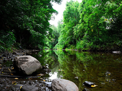 ‘Ecological breakdown’: Environmental devastation from Highway 413 becoming clearer; Brampton & Mississauga at significant risk