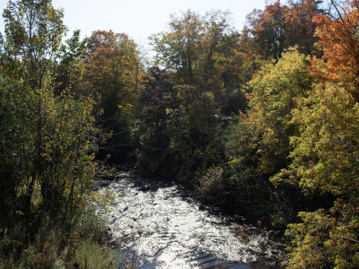Five heroes celebrated for defending nature against unchecked development in Caledon