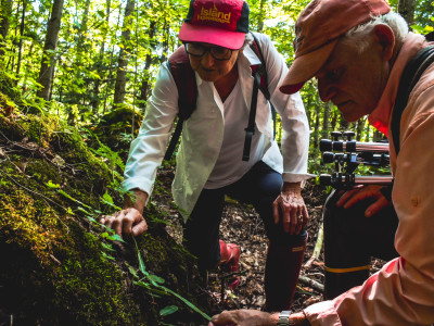 Following breadcrumbs, and other methods to preserve the natural world