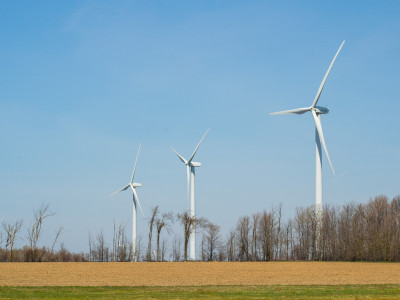 Former environment minister calls on Ford to dig into green jobs as Ontario records largest unemployment increase in Canada