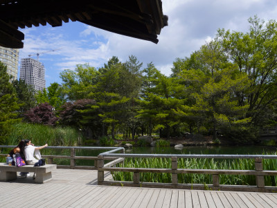 Greenbelt report offers toolkit for municipalities; protecting nature is Ontario’s smartest investment
