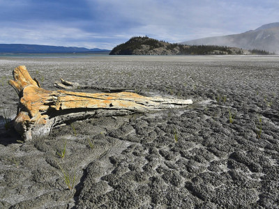‘Hiding from the heat’; half of Canada faces drought, UN experts warn now’s the time to act—‘do we have the will?’