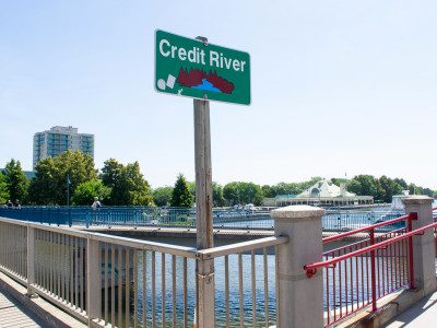 In Doug Ford’s Ontario, over two thousand species in Credit River are fighting to stay afloat