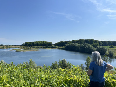 Mayor Annette Groves facing fierce backlash for allowing developer to dump construction waste in Swan Lake