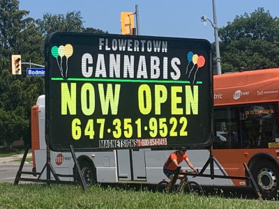 Mississauga business community welcomes jobs, revenue from legal cannabis; 4 months since City opted in illegal market lingers  