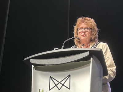 Mississauga Mayor Carolyn Parrish makes misleading claims about opposition to Peel police budget 