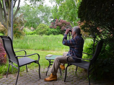 Mississauga resident wins legal fight against City’s strict requirement for manicured lawns