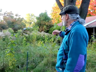 Mississauga rewrites lawn bylaw after court ruling protects naturalized gardens—but keeps limit for grass at 20 cm for most homes