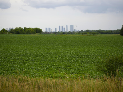 ‘Not for the faint of heart’: Democracy Caledon’s rezoning challenge against municipality reaches Ontario Superior Court
