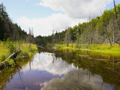 PC housing policy threatens watershed security and democracy