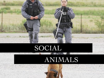 Peel’s K9 unit has a social media style police forces should learn from