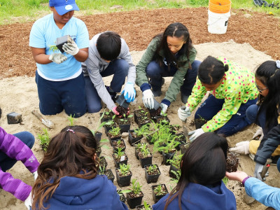 Peel school students ‘don’t want to wait, they want to advocate’: How PDSB is leading the fight against climate change