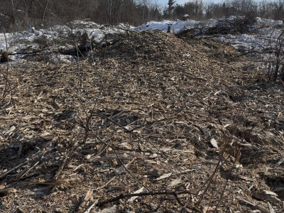 ‘The forest is gone’: Brampton residents still fighting for what remains of Huttonville Forest