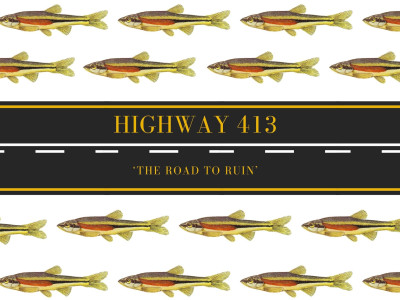 ‘You’re worried about a grasshopper jumping across a highway’: Internal documents show scientists reject Doug Ford’s environmental study of the 413 Highway