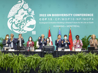 World takes big step to protect biodiversity at COP15; will governments & corporations follow it with action?