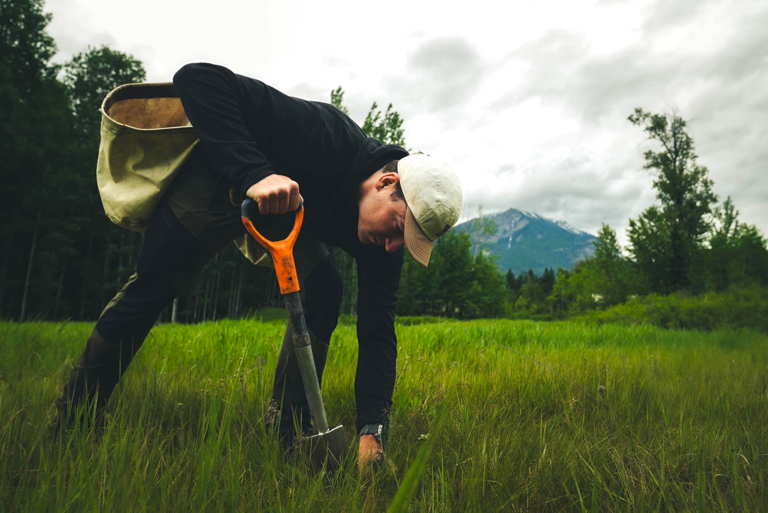 10 days, 10 provinces, 100k trees: Canadian world-record-holder who turned climate action into epic road trip
