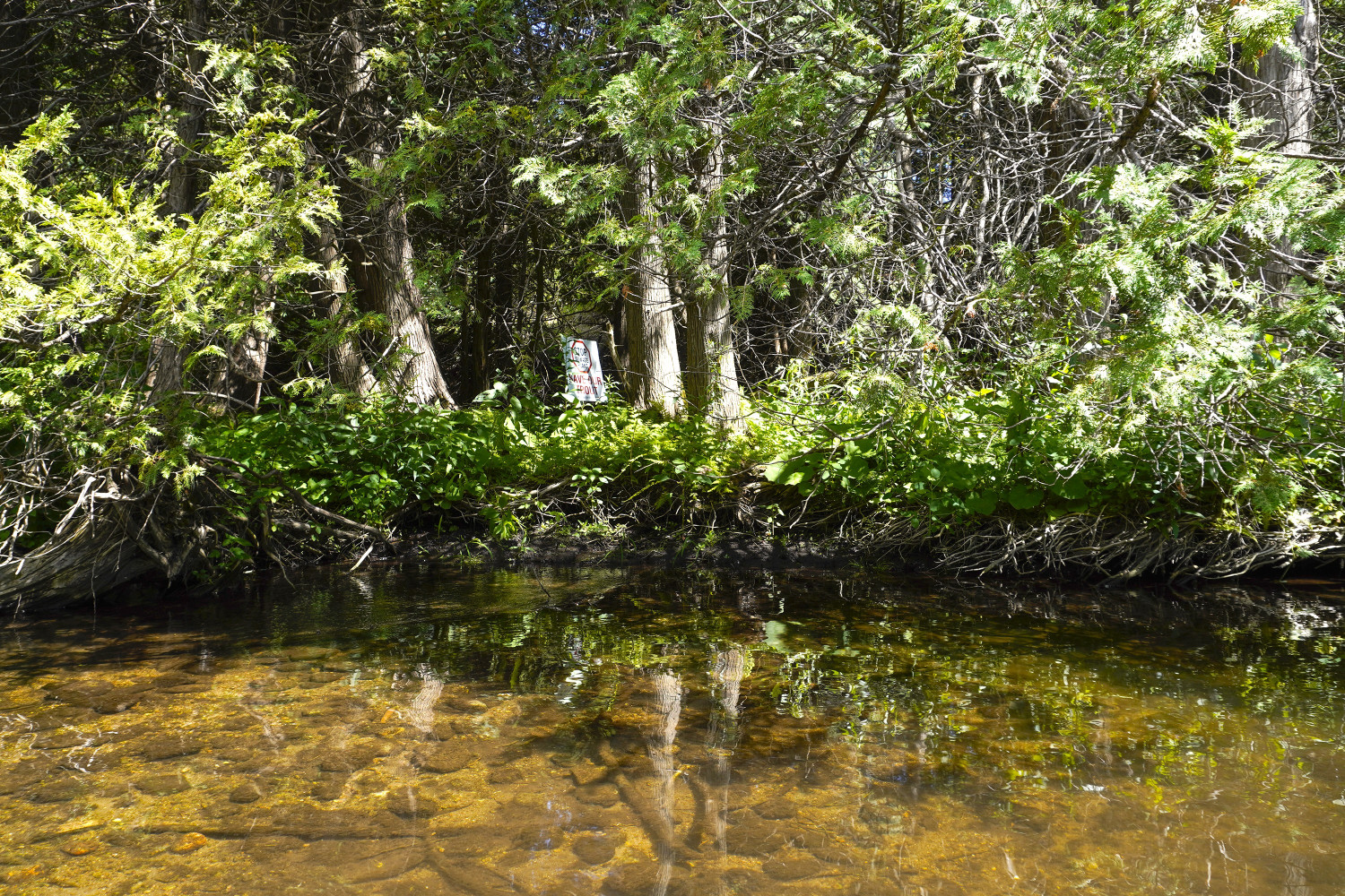 After secretly working to destroy it, Ford government silent on long overdue review of Ontario’s Greenbelt