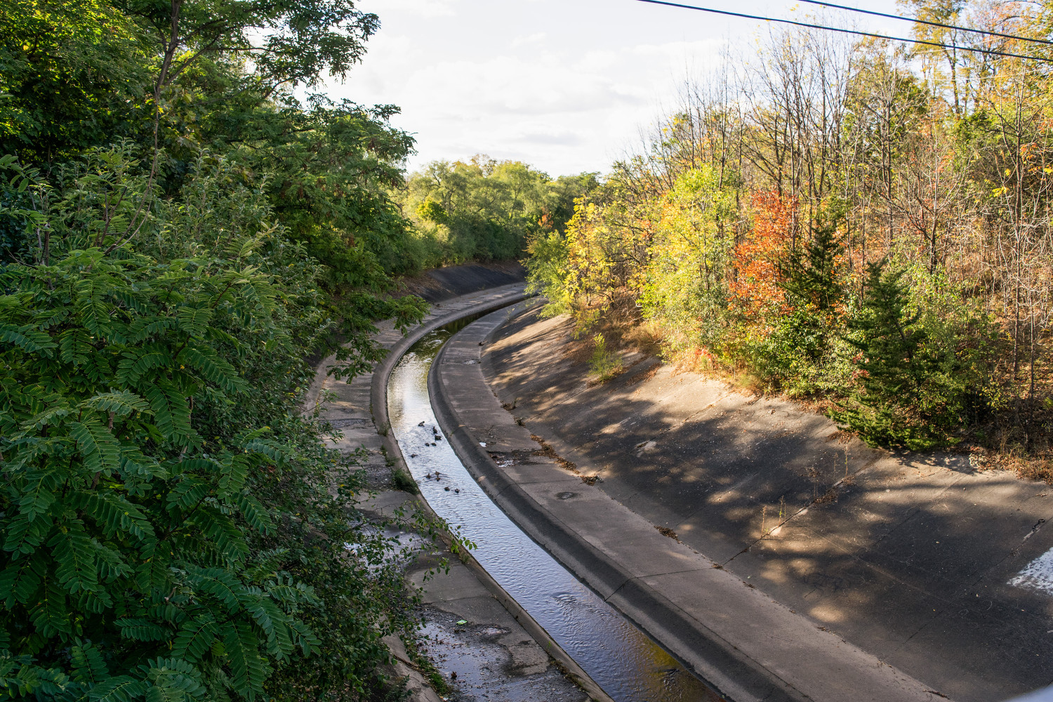 After years of ignoring the City’s green priorities, Mayor Patrick Brown and council risk missing critical emissions targets 