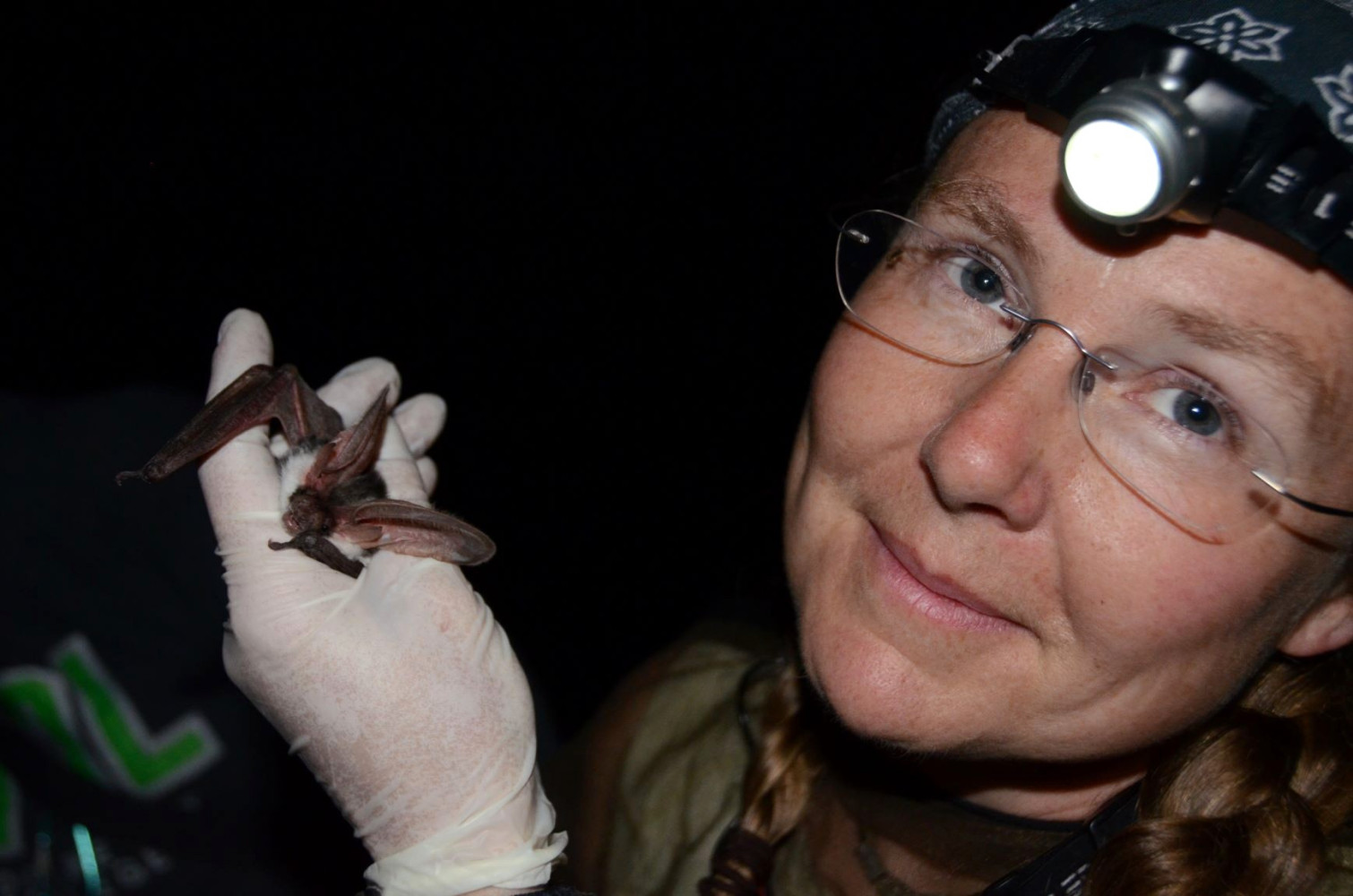 ‘Always left in dark’: Federal funding delays are holding back species conservation