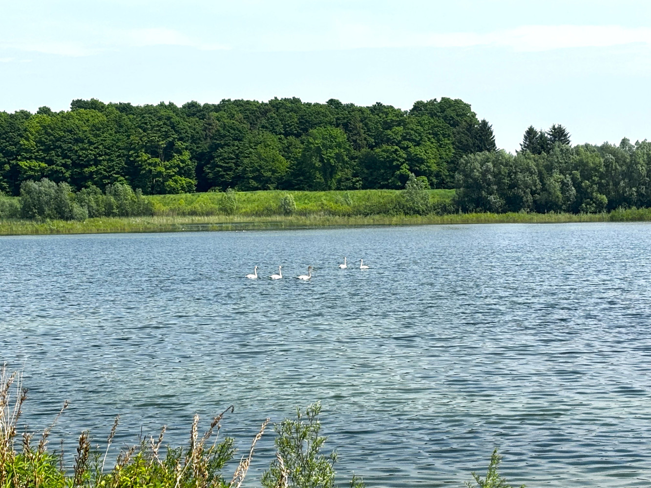 ‘Anti-business, anti-democratic, anti-farmer’: Caledon mayor faces backlash over plan to fill lake with construction waste