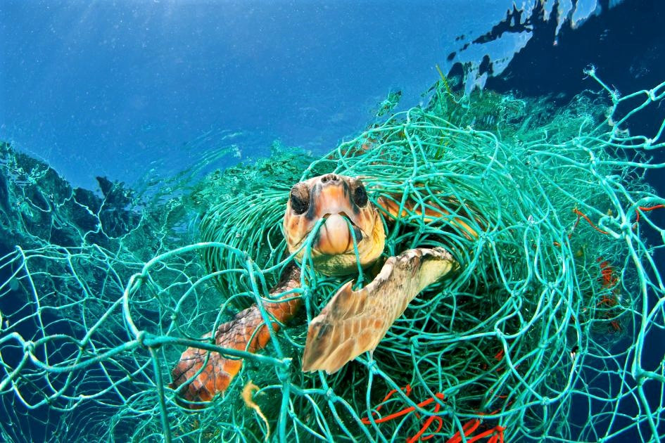 https://thepointer.com/photos/headers/as-canada-s-single-use-ban-rolls-out-big-plastic-takes-ottawa-to-court-international-community-vows-to-protect-world-s-oceans-the-pointer-ab2aa248.jpg