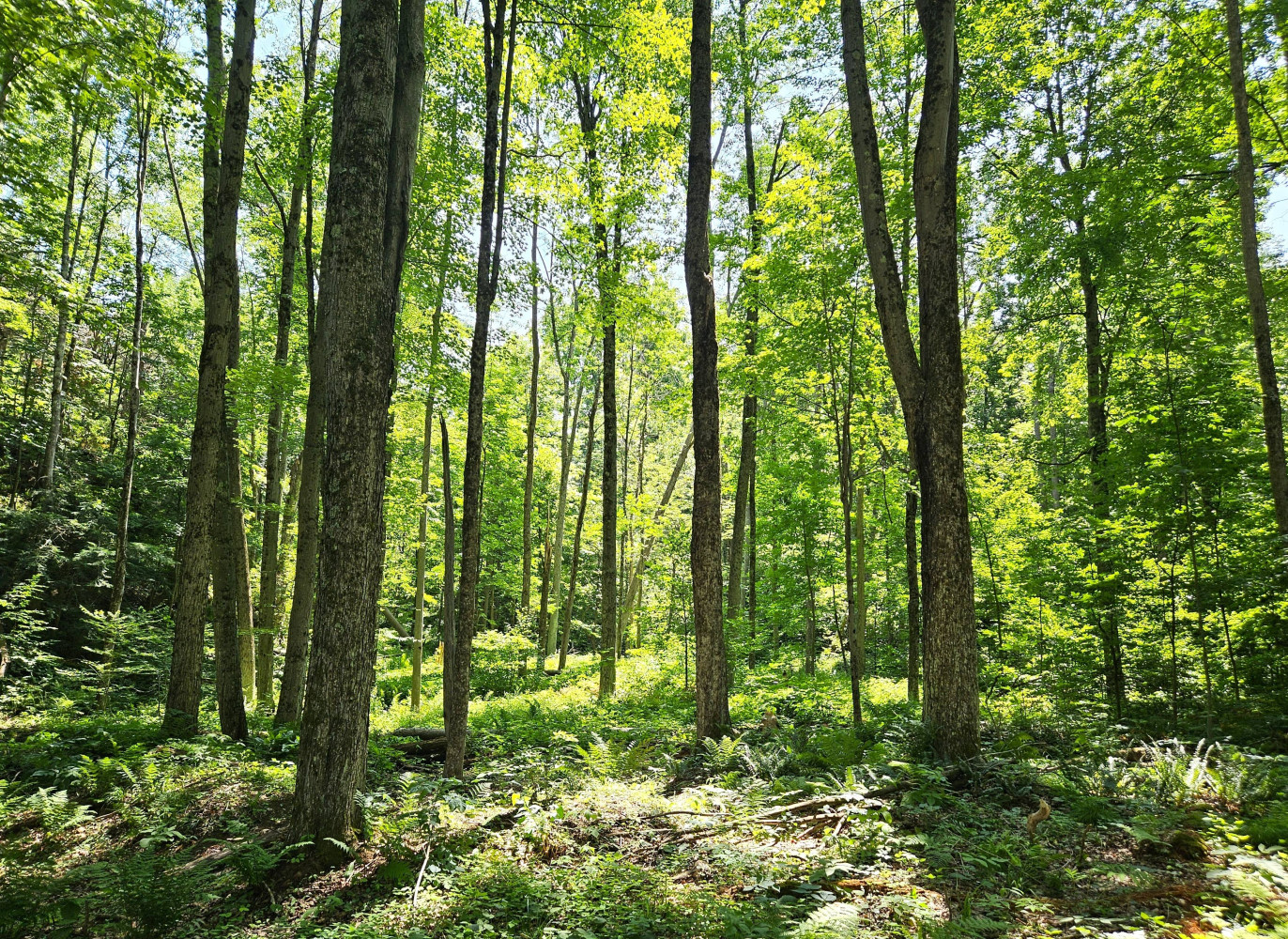As Canada slides on conservation targets, one Ontario group’s latest acquisition is moving the needle