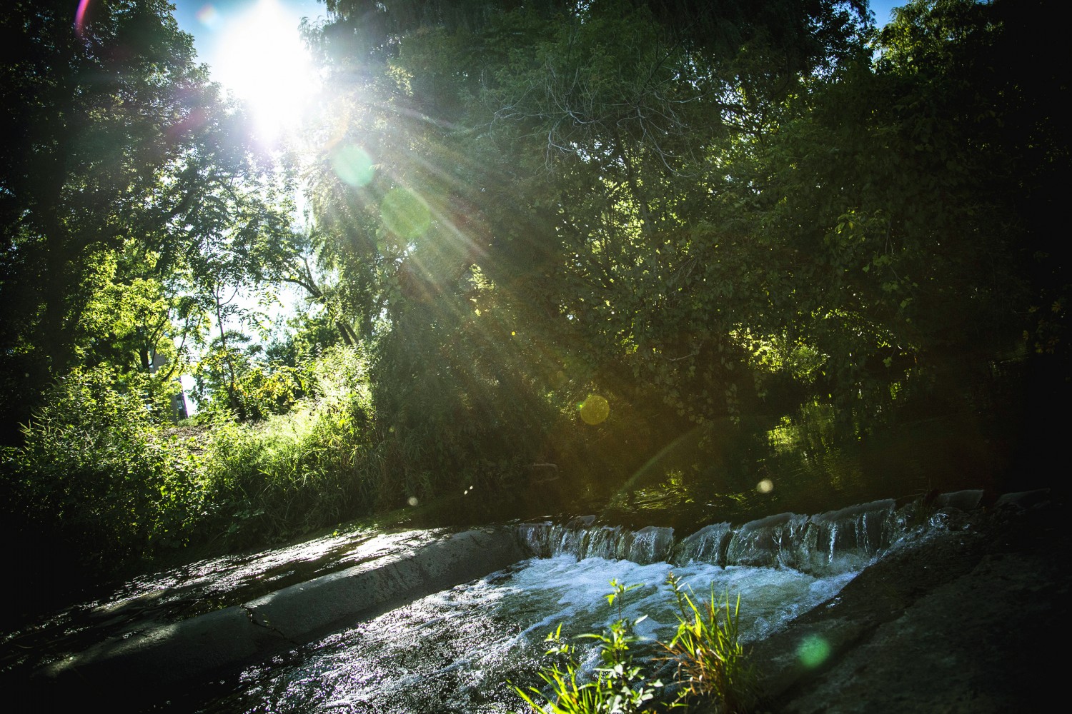 Brampton has ignored climate change for years, will a new environmental organization do what council has failed to? 