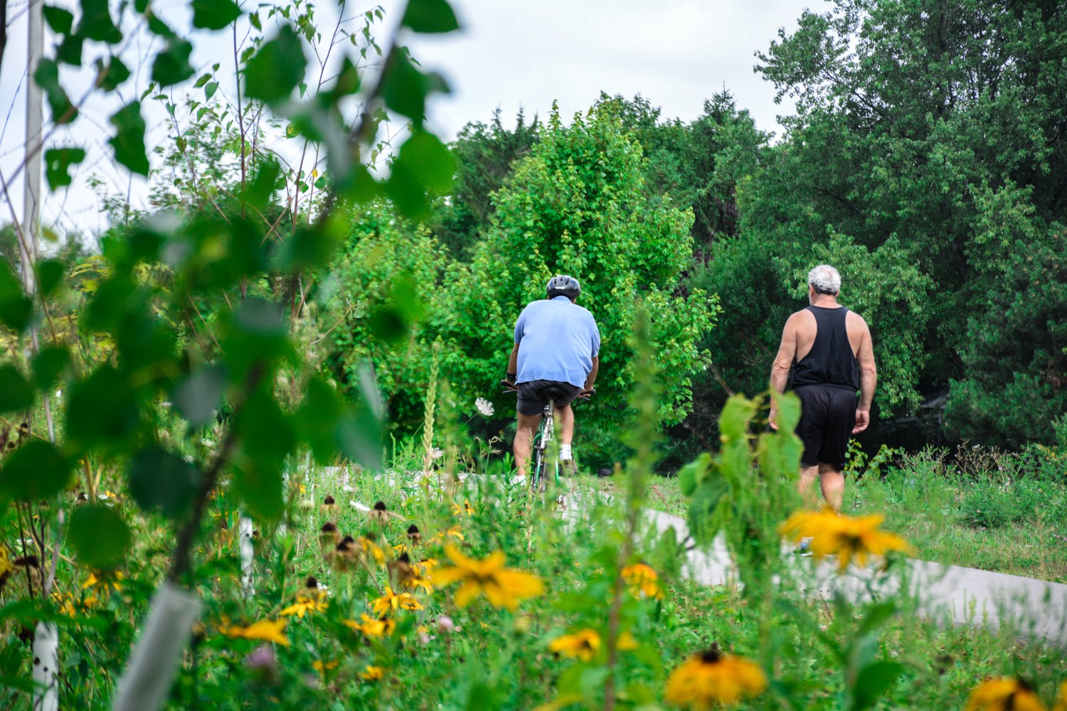 Brampton making the right noises on climate change, but big-impact projects remain a dream