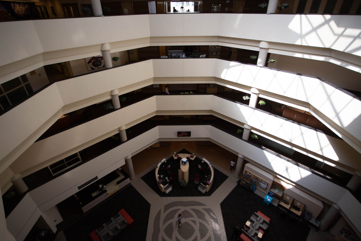 Brampton studying AI for City business; residents in the dark about costs, privacy & discrimination concerns