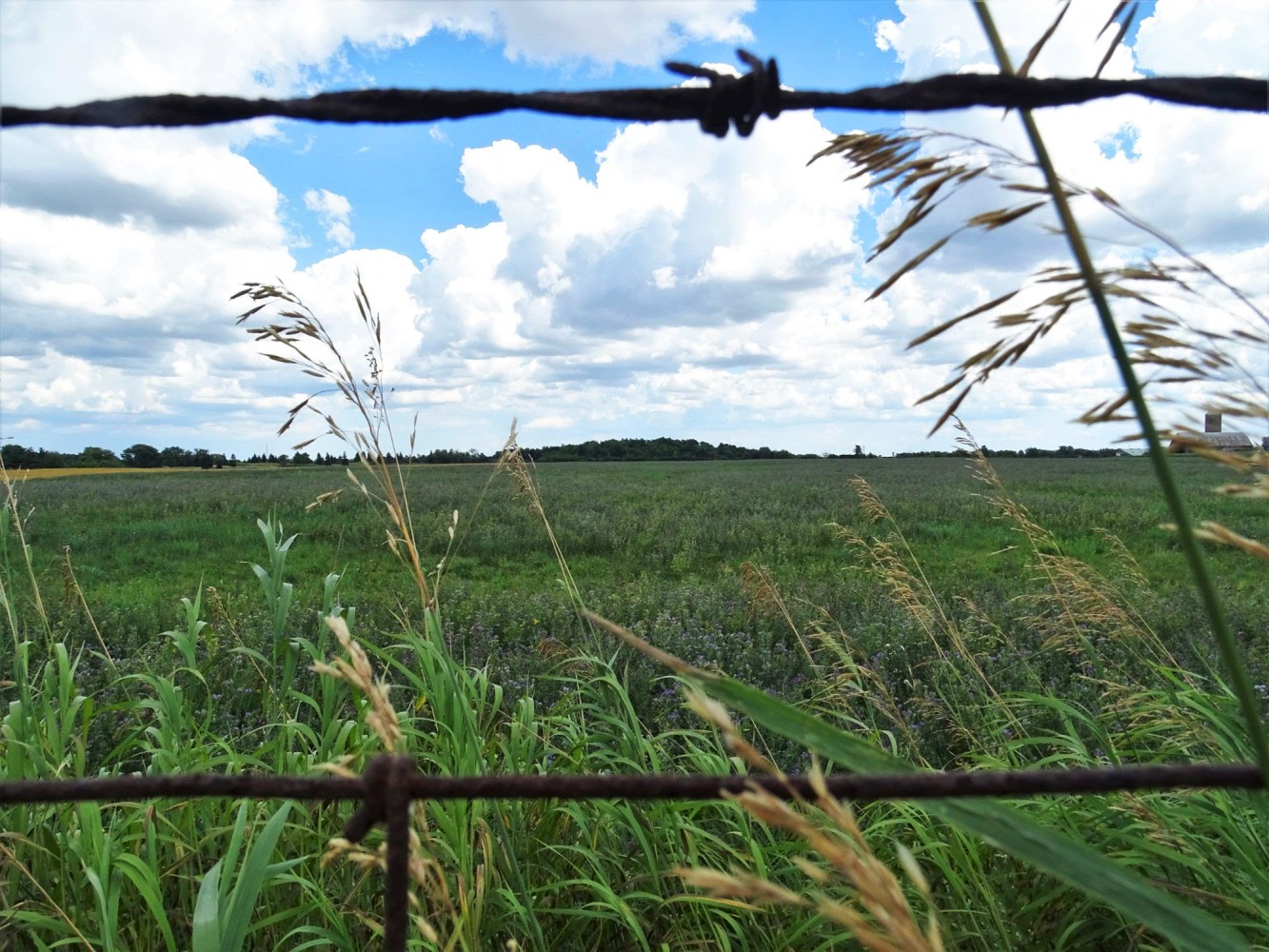 Caledon blocks motion by Councillor Annette Groves to reject GTA West Highway