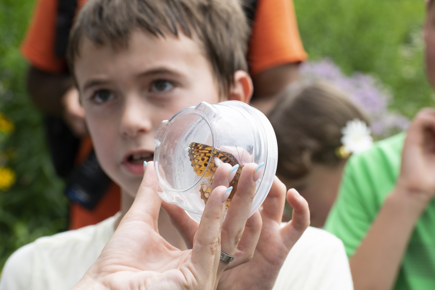 Can outdoor learning create the next generation of eco-warriors?
