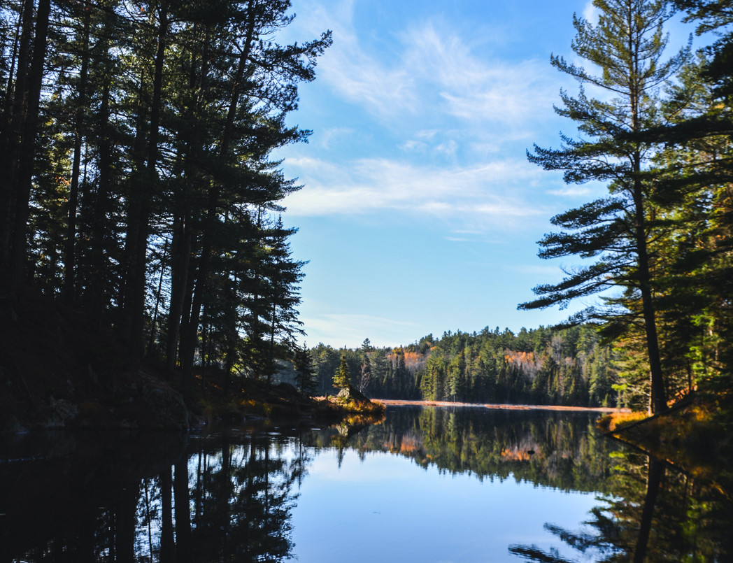 ‘Death knell for watersheds’: Ford set to shrink conservation authorities, plunge Ontario into chaos