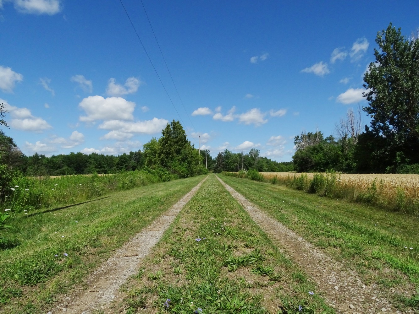 Decision time! Will Peel pave the way for a sprawling future or shift to walkable communities?