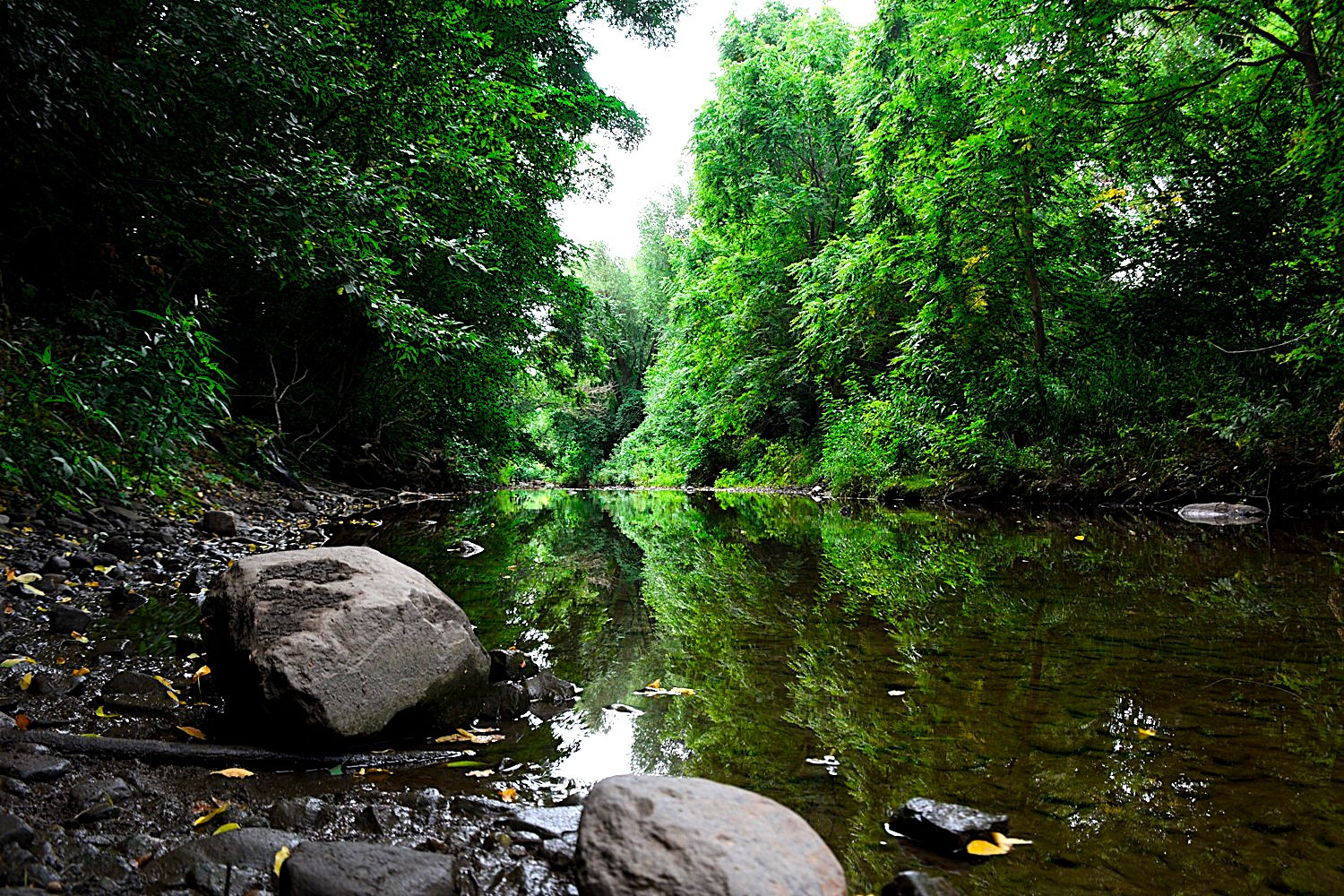 ‘Ecological breakdown’: Environmental devastation from Highway 413 becoming clearer; Brampton & Mississauga at significant risk