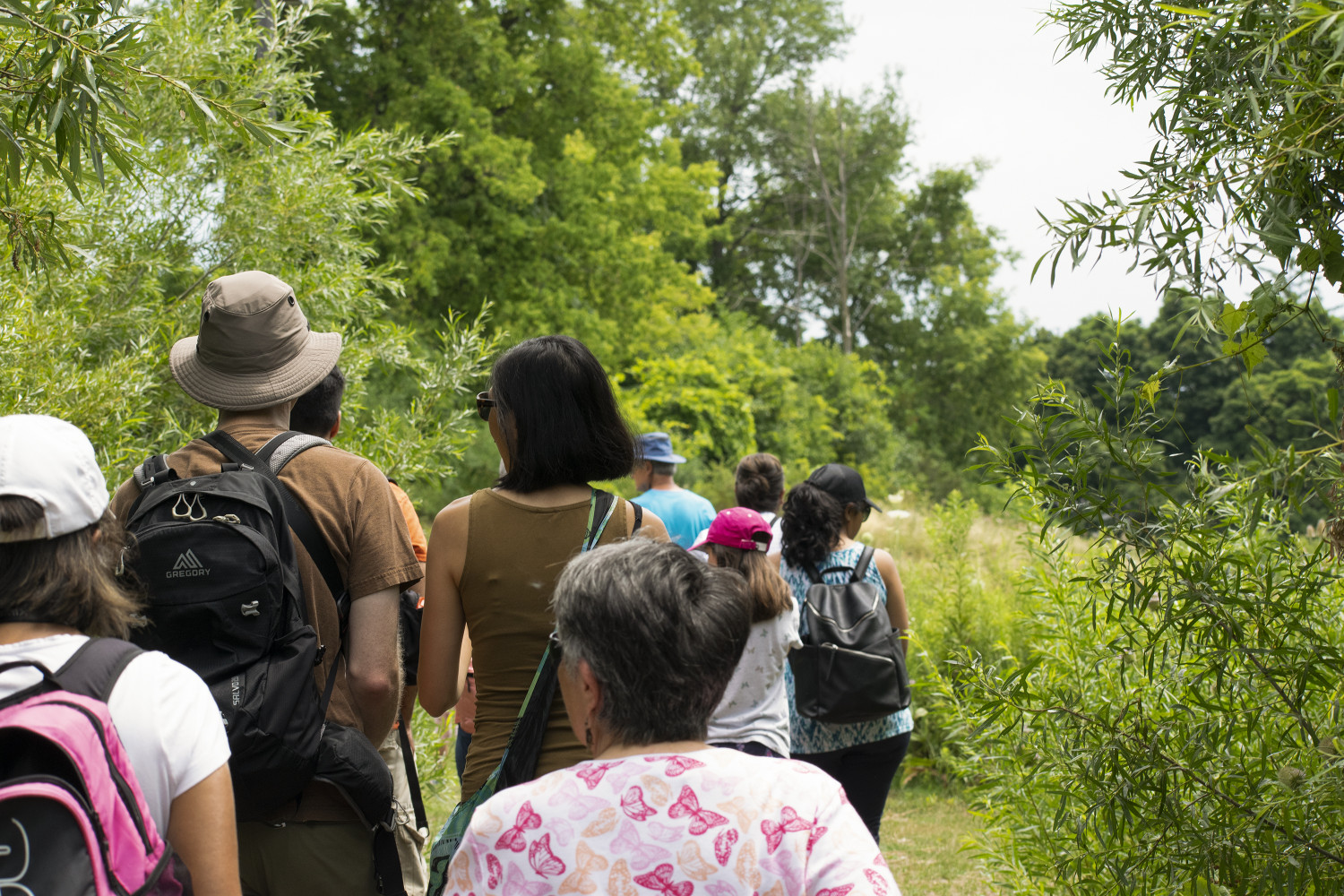 Educating council members might be the key to saving Ontario’s natural spaces from Doug Ford’s housing agenda 