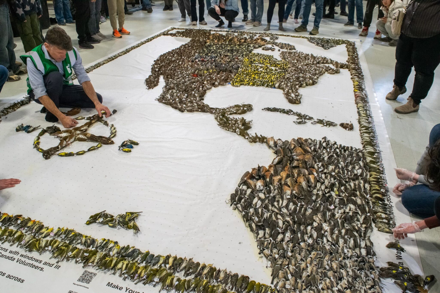 Ford government’s Bill 98 could be the ‘final death knell’ for birds