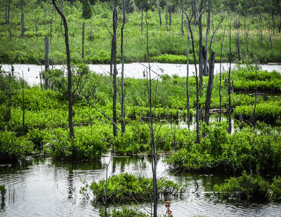 Ford’s Bill 23 is ‘ecological insanity’, implodes sustainable urban planning in unhinged give over to sprawl developers