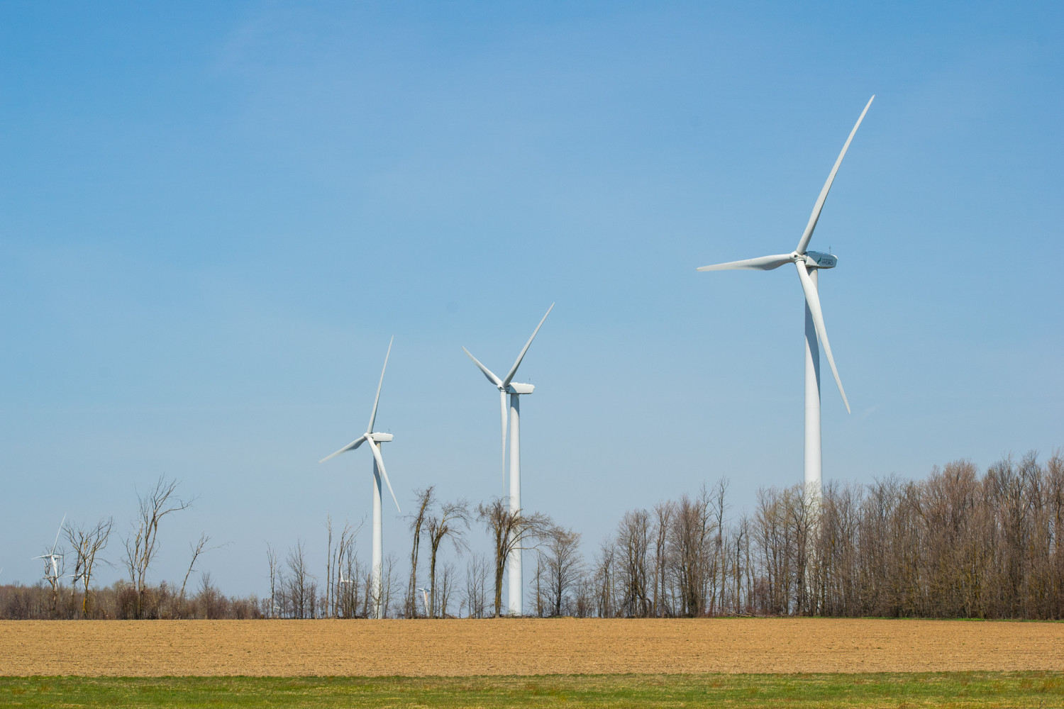 Former environment minister calls on Ford to dig into green jobs as Ontario records largest unemployment increase in Canada