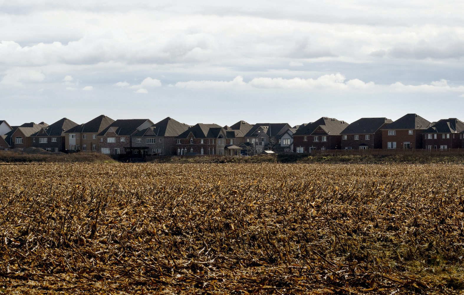 Frustration mounts as Mississauga, Brampton & Caledon fight over funding for growth as PCs push chaotic housing plan