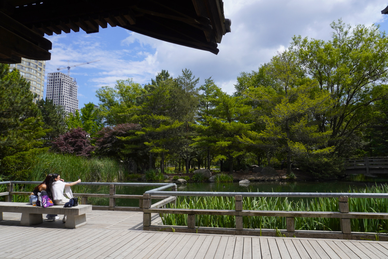 Greenbelt report offers toolkit for municipalities; protecting nature is Ontario’s smartest investment