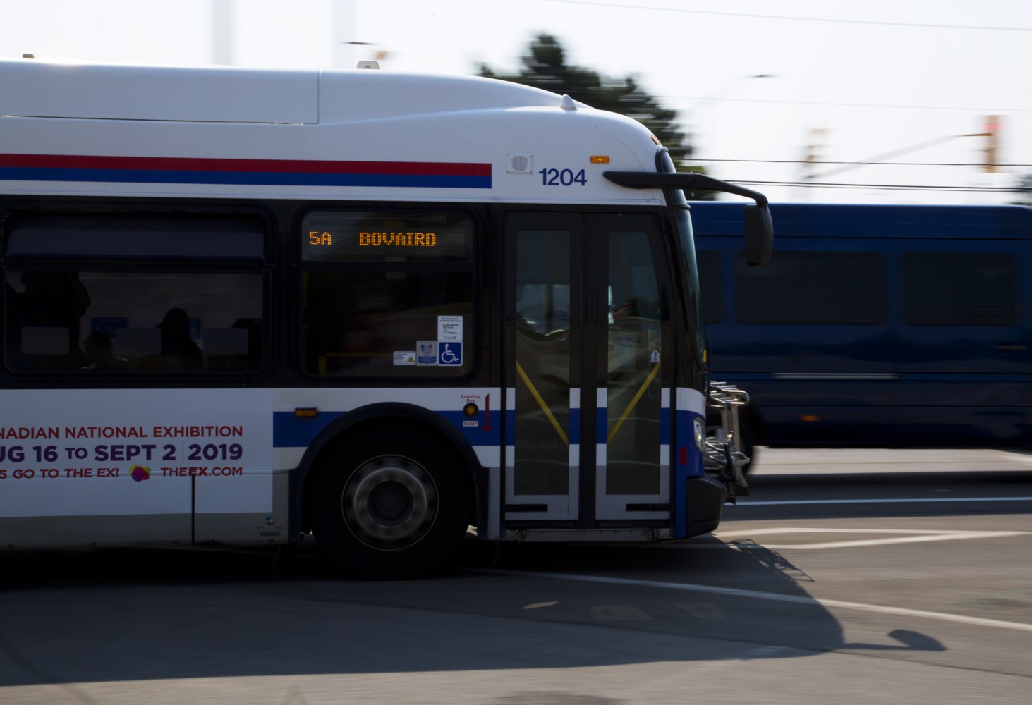 Head of Brampton Transit disputes troubling audit findings that