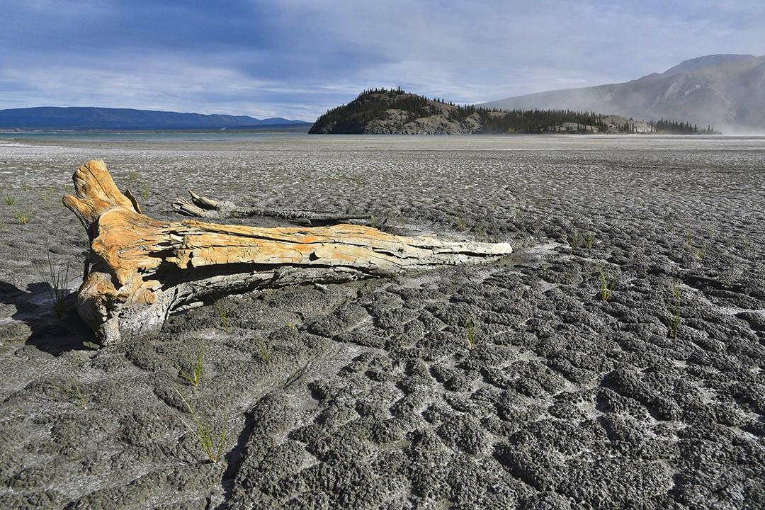 ‘Hiding from the heat’; half of Canada faces drought, UN experts warn now’s the time to act—‘do we have the will?’