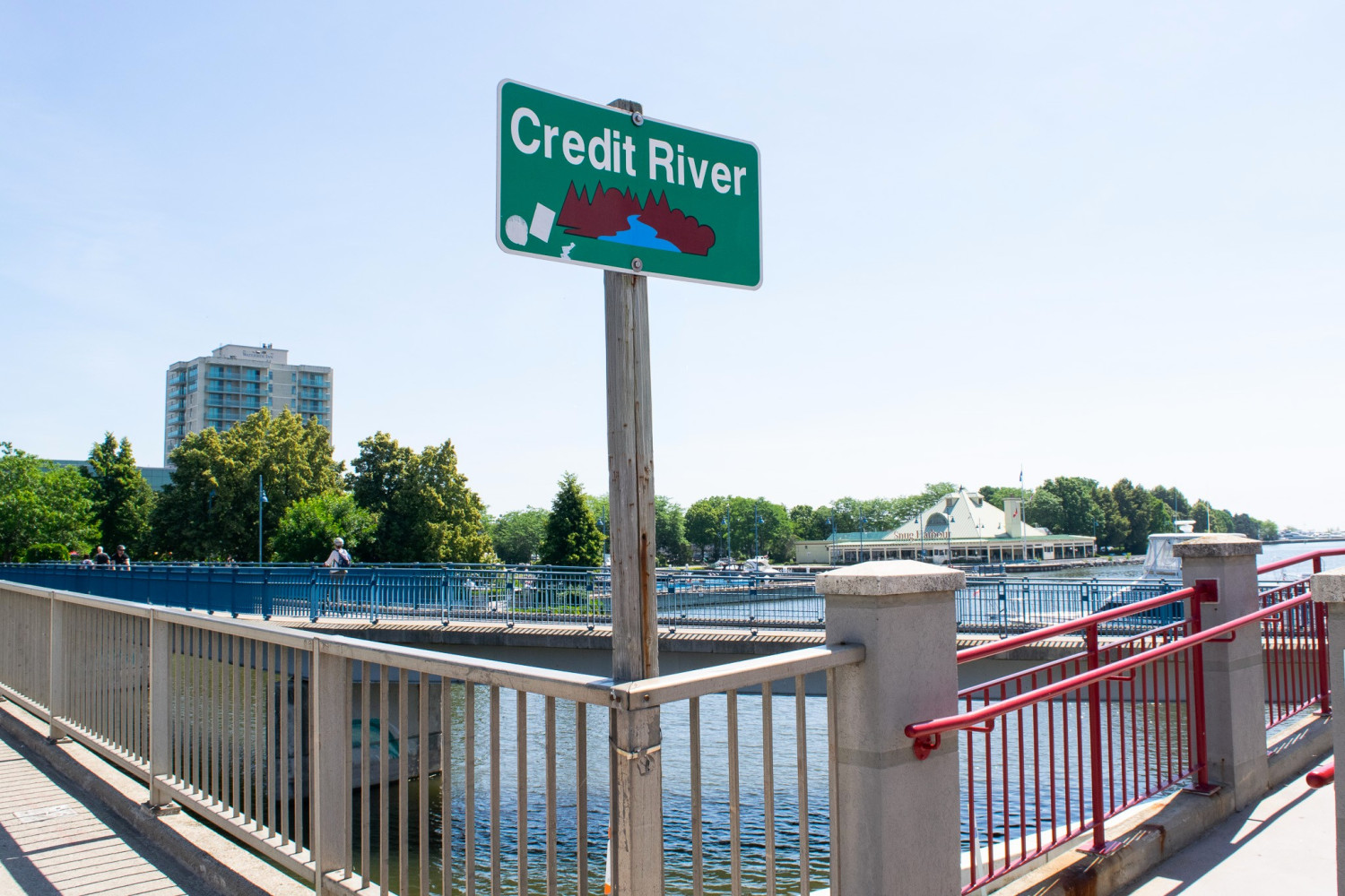 In Doug Ford’s Ontario, over two thousand species in Credit River are fighting to stay afloat